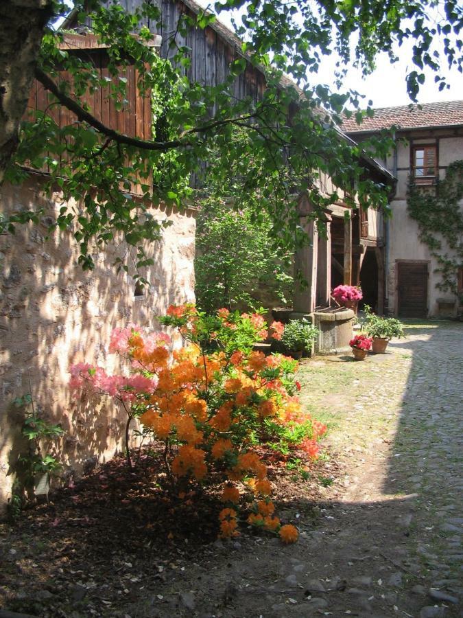 Les Hortensias Riquewihr Buitenkant foto