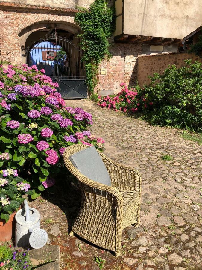 Les Hortensias Riquewihr Buitenkant foto