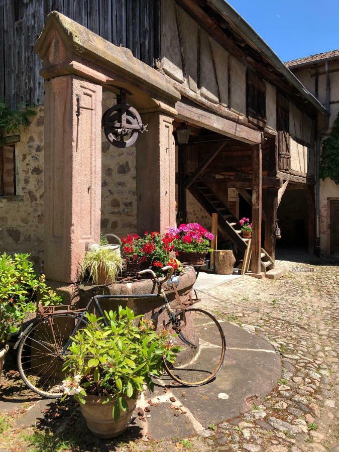Les Hortensias Riquewihr Buitenkant foto