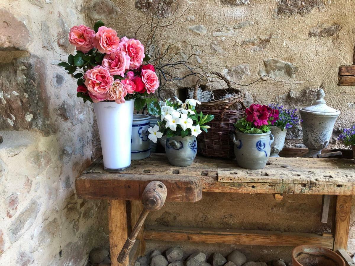 Les Hortensias Riquewihr Buitenkant foto